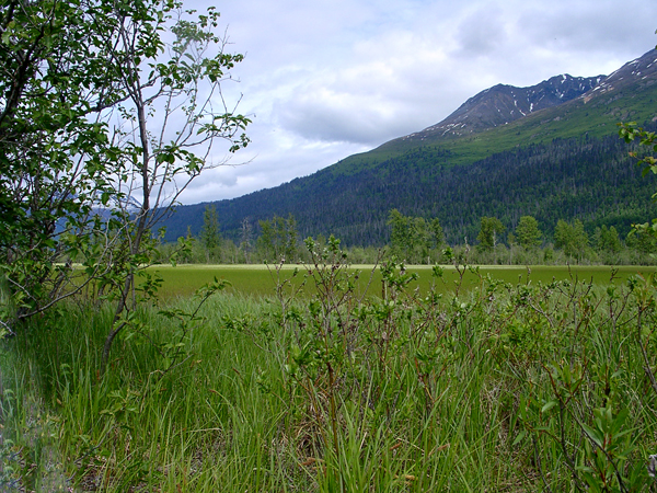 Haines Alaska